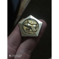 Значок Венера 5