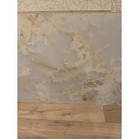 Скеналь настенная