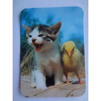 Календарик 2000 г. Котенок и цыпленок.