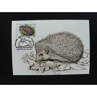 Продажа коллекции с 1 рубля! КПД РБ