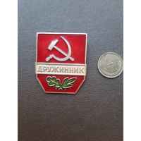 Значок Дружинник