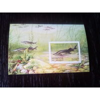 Беларусь 1997 блок рыбы