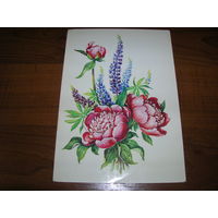 Цветы 1983 год Гасиева чистая