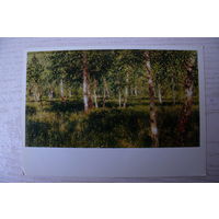 Левитан И. (не указан), Берёзовая роща.