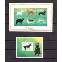 Ангола 1998 Фауна домашние собаки - 1 лист + 1 блок