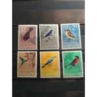 Суринам 1966 Птицы.