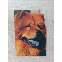 Календарик 1991