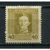Австро-Венгрия - Полевая почта (Feldpost) - 1917/1918 - Император Карл I 40H - [Mi.64A] - 1 марка. MH.  (Лот 4JB)-TG3P56