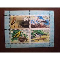 Беларусь 2002 г.Птушка года (2002)./п/