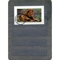 СТАФФА (Шотландия) ФАУНА 1 мини-блок гашен