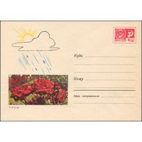 Художественный маркированный конверт СССР N 4820 (15.08.1967) Розы