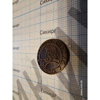 Значок бронза Стадион Спартак Полоцк на заколке