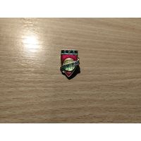 Футбольный клуб СКА Ростов Дон