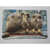 Календарик 1998 г. Parexbank. Любые операции по заказу клиентов.