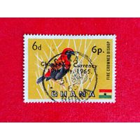 Гана. Фауна. ( 1 марка ) 1965 года. 4-4.