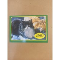 Календарь 1991 кошки/2