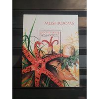 Афганистан. 1999г. Грибы.