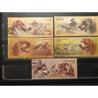 СССР, 1988. Собаки, полная серия