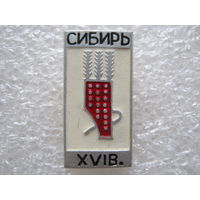 Сибирь, колчан 16 век.