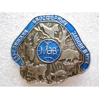 Березинский биосферный заповедник.