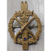 Знак серебряный с позолотой. Редкий. Швеция. Лыжи, стрельбы