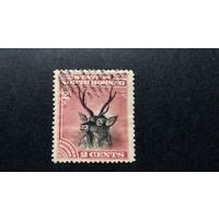 Великобритания. Северное Борнео\446с\ фауна олень 1894. зубц.14