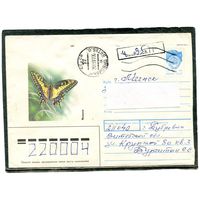 Беларусь. ХМК. Конверт п.п. Провизорий. Бабочка. Гашение Дубровно, Витебской области 1993