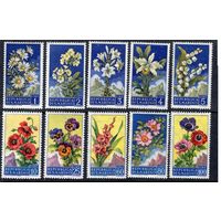 Сан-Марино 1957 **  Флора. Цветы