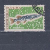 [6] Камерун 1968. Фауна.Рыба.25 ф. Гашеная марка.