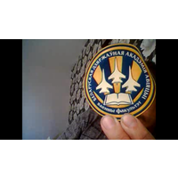 Шеврон
