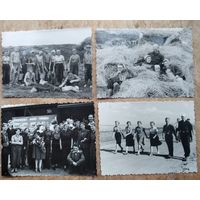Лот фотографий "Студенты на целине". Конец 1950-х. 9х11 см. 4 фото. Цена за все.