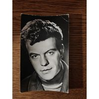 Артисты Шалевич