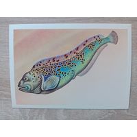 Левиновский 1983,чистая