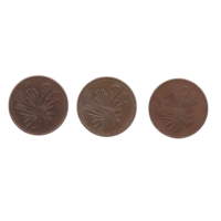 Независимое Государство  Папуа - Новая Гвинея. 2 тойя (тоэа) 1975, 1990, 1996. Фауна. Рыба. Крылатка- зебра. Цена за одну монету.