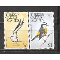 ФФ2 Терк и Кайкос 1973 Птицы