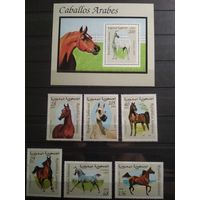 Сахара 1997 г. Лошади.