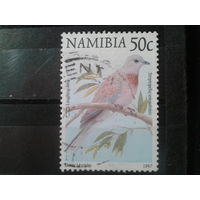 Намибия, 1997. Пальмовый голубь