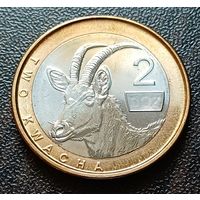 Замбия 2 квачи, 2024