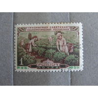 Продажа коллекции с 1 рубля! Почтовые марки СССР