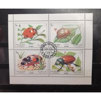 Шарджа. 1972 год. Фауна. Насекомые (1282)