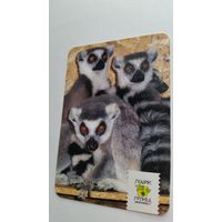 Календарик.Животные.