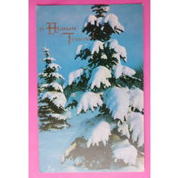 С новым годом! Чистая. 1971 года. Фото Раскина. 2527.