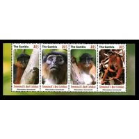 2016 Гамбия 7331II-7334IIstrip Нет WWF - Обезьяны 16,00 евро