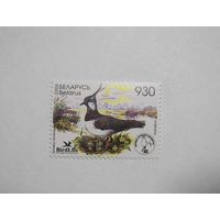 Птица года. Чибис. 1м. 2006г.