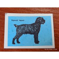 Спичечная этикетка Черный терьер