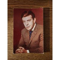 Артисты Шалевич