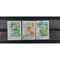 РАСПРОДАЖА. СССР 1960г. Гаш.