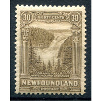 Британские колонии - Ньюфаундленд - 1928г. - большой водопад, 30 с - 1 марка - MH [Mi 143]. #3-WB-100-A-1