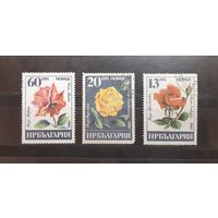 Болгария. 1985 год. Флора. Цветы. Розы (291)
