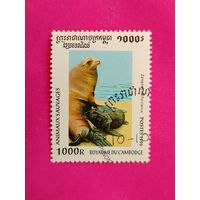 Камбоджа. Фауна. ( 1 марка ) 1996 года. 2-20.